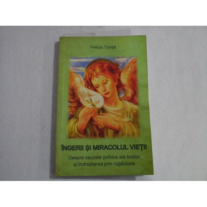 INGERII SI MIRACOLUL VIETII - FELICIA TONITA